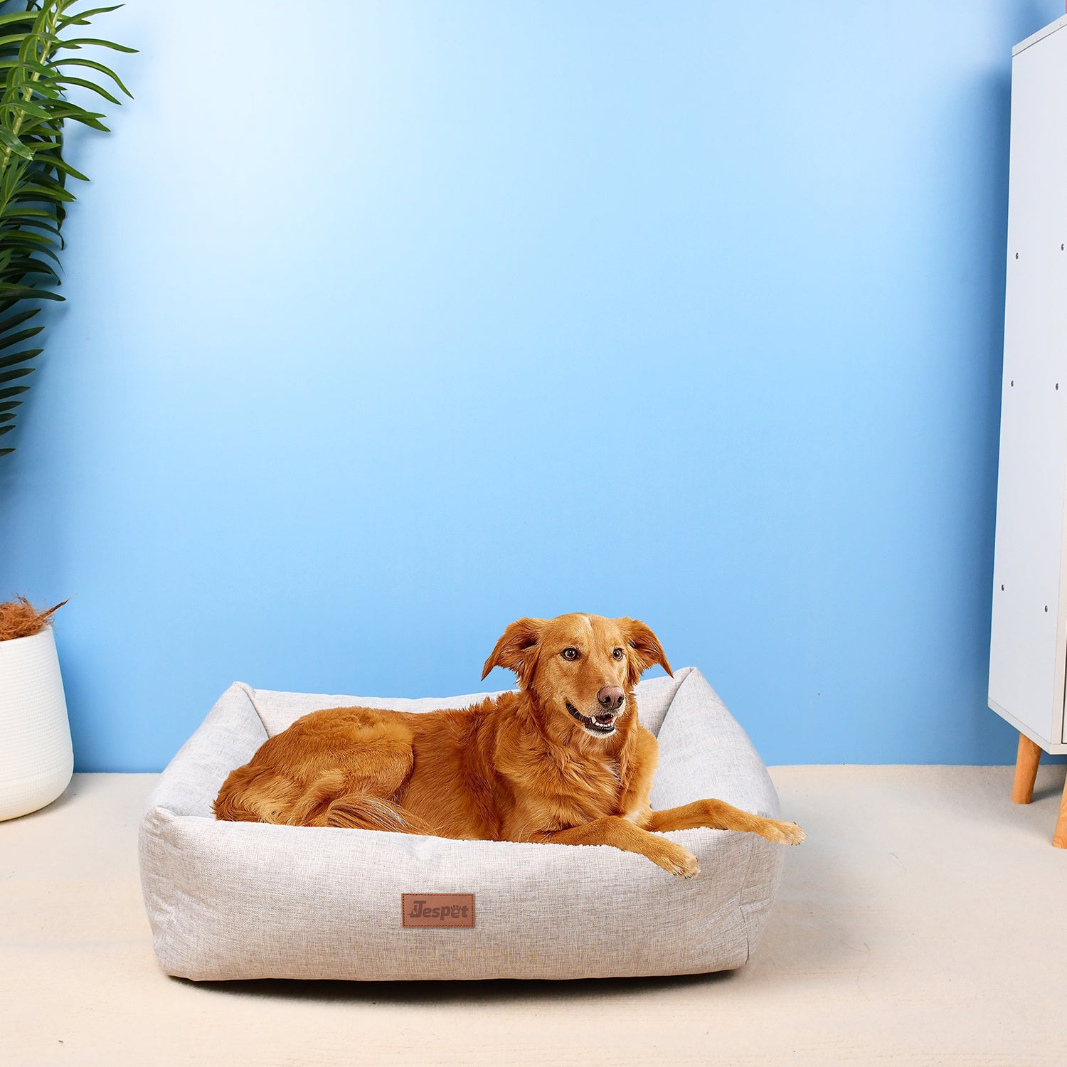 Jespet Durable Dog Bed, Comfortable Egg-Crate Foam Sofa, Khaki