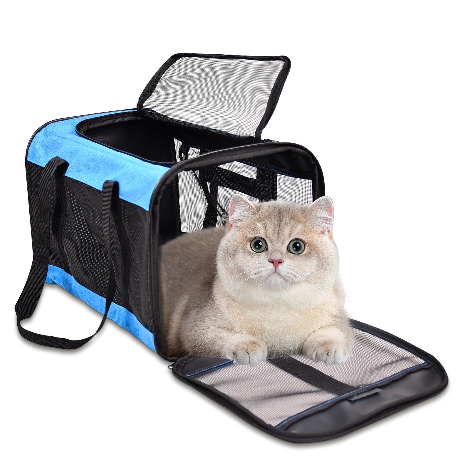 ZAKAPAWS Soft-Sided Travel Small Dog & Cat Carrier Bag, Turquoise, 17''