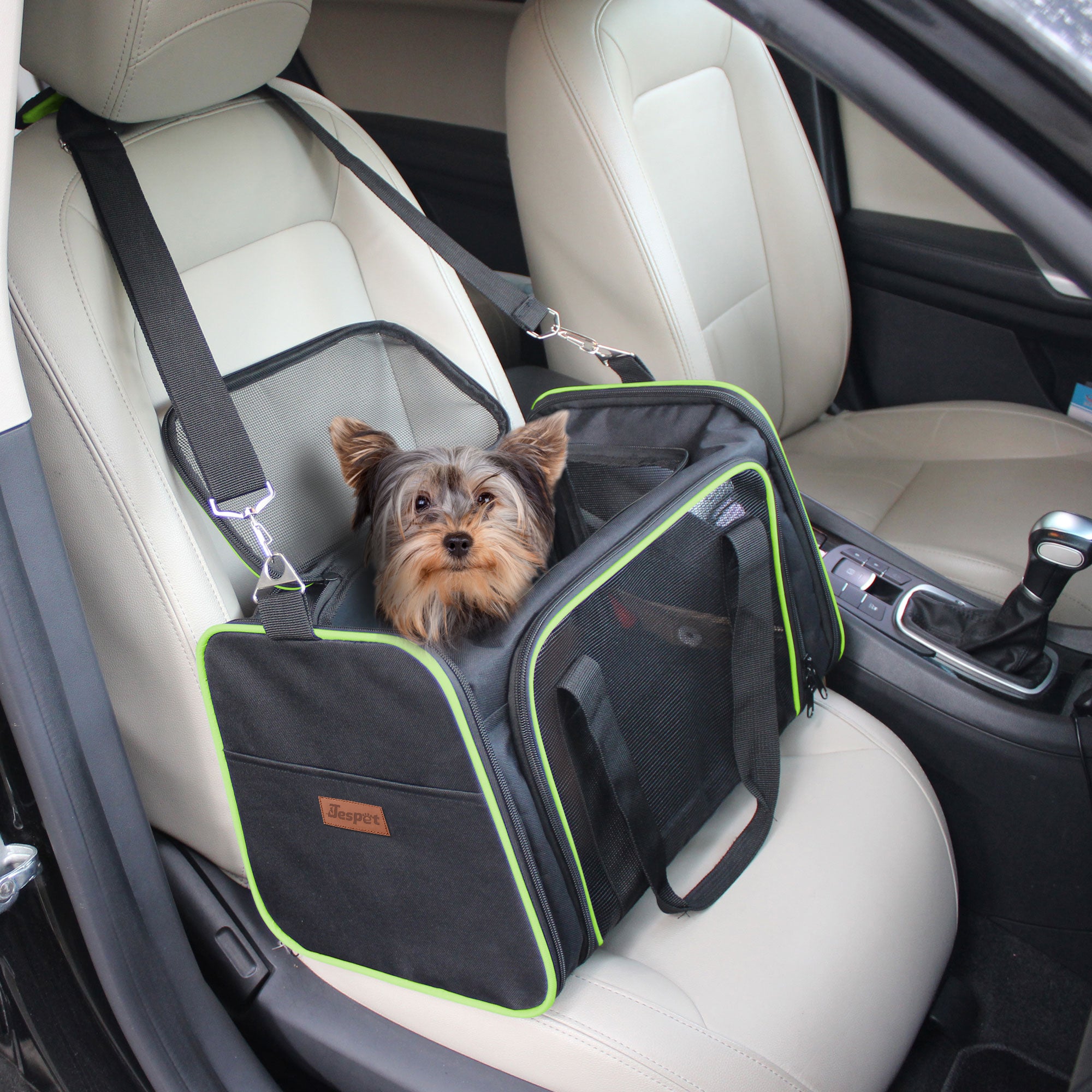 Jespet Soft-Sided Travel Small Dog & Cat Carrier Bag, Black/Green, 19''