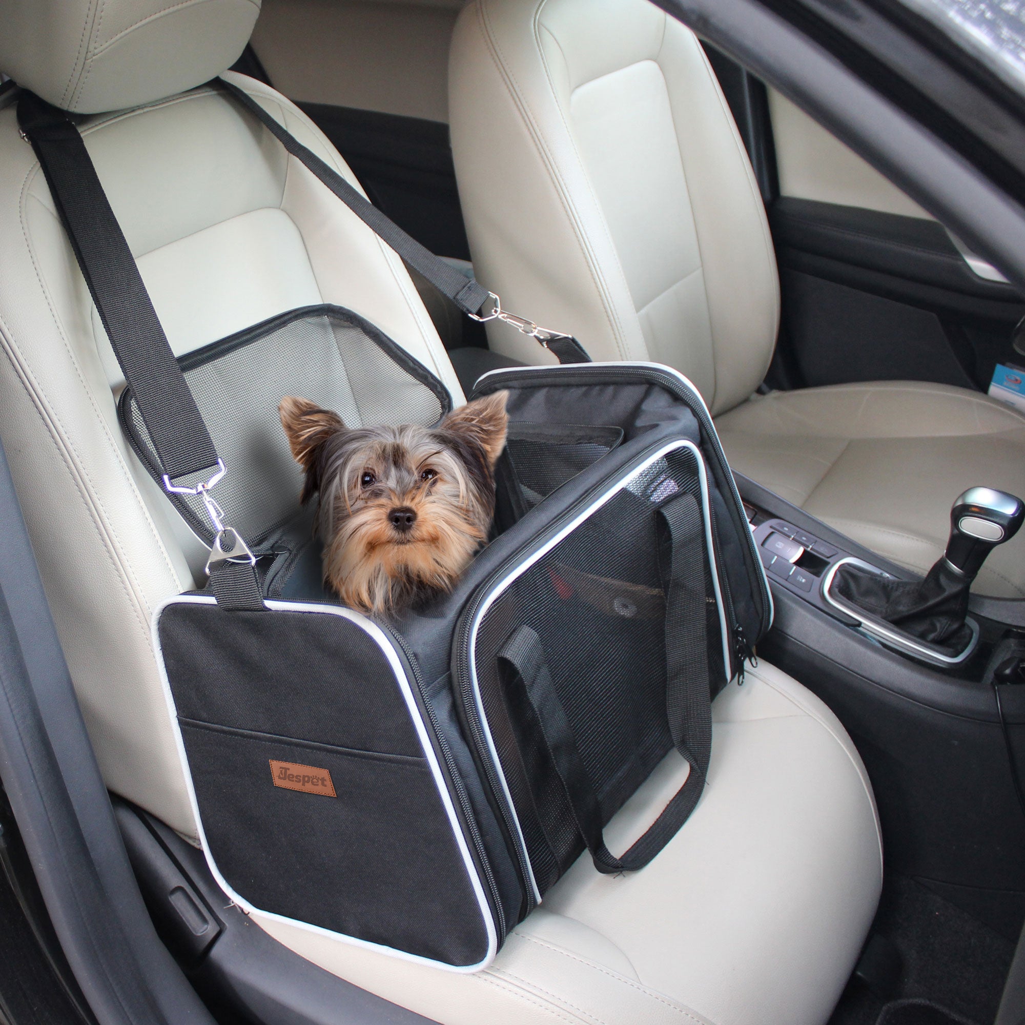 Jespet Soft-Sided Travel Small Dog & Cat Carrier Bag, Black/Grey, 19''