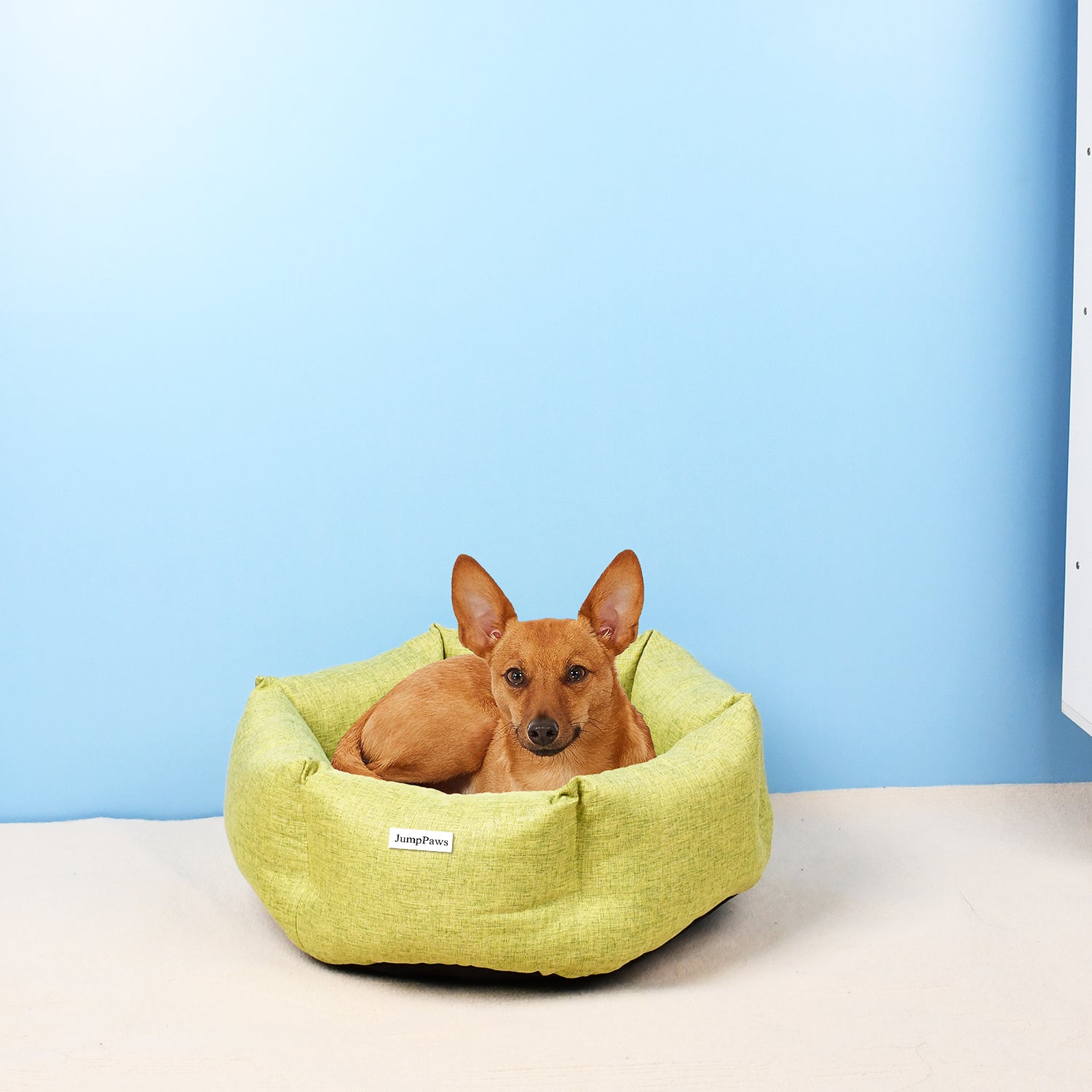JumpPaws Durable Household Dog Bed, Comfortable Egg-Crate Foam Sofa, Green, 27.6"L x 27.6"W x 7.4"Th