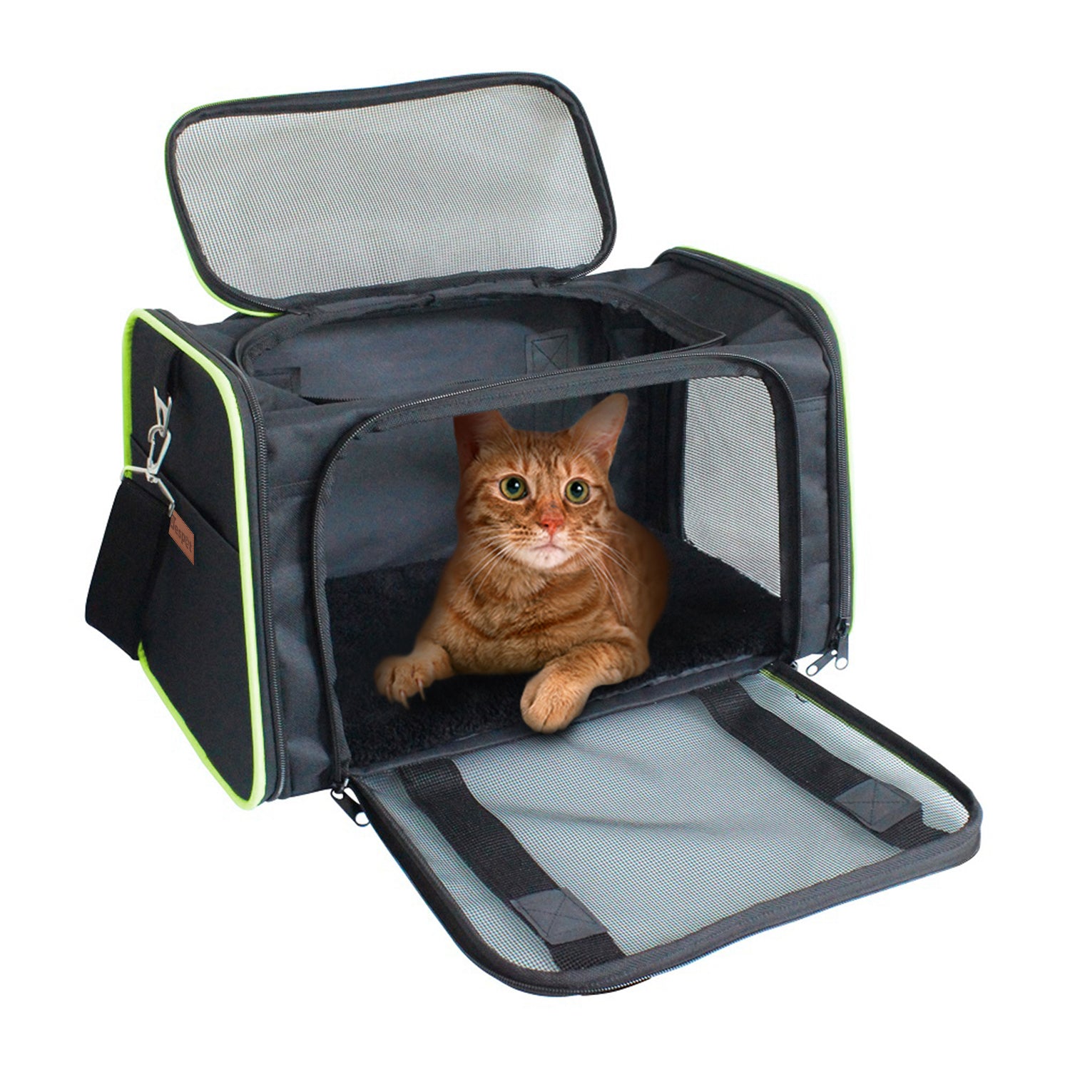 Jespet Soft-Sided Travel Small Dog & Cat Carrier Bag, Black/Green, 17''