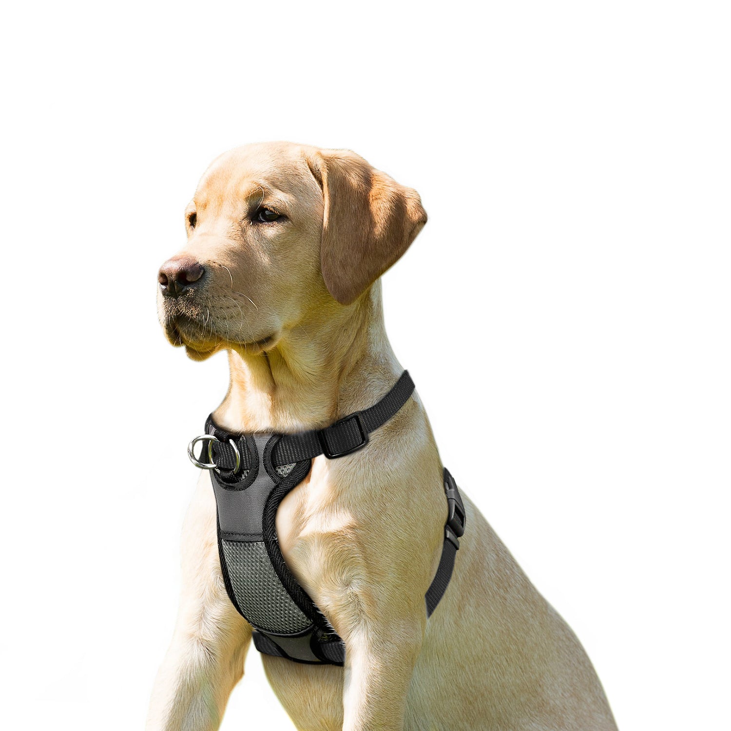 JESPET Dog Harness No Pull with Adjustable Straps for Training, Black