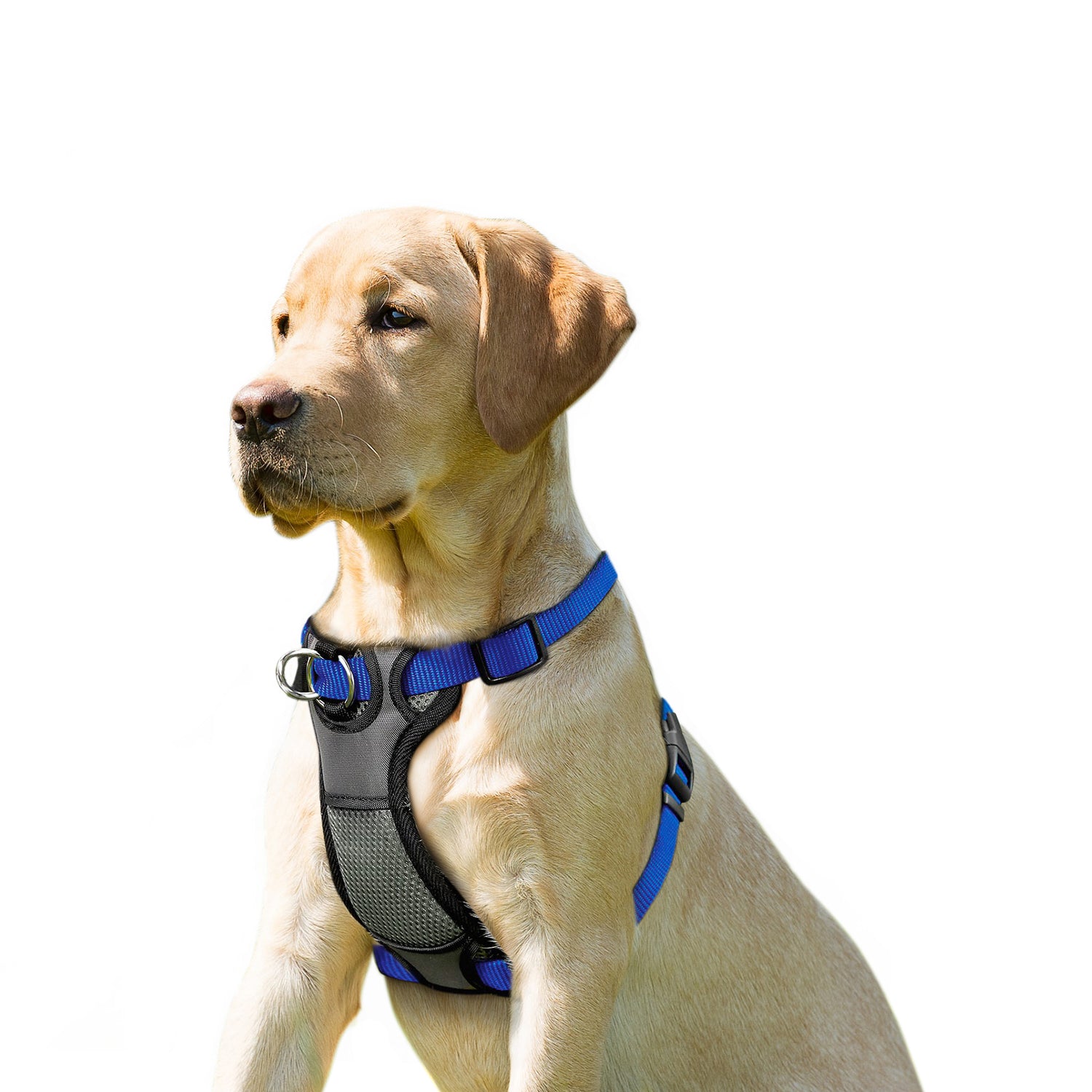 JESPET Dog Harness No Pull with Adjustable Straps for Training, Blue