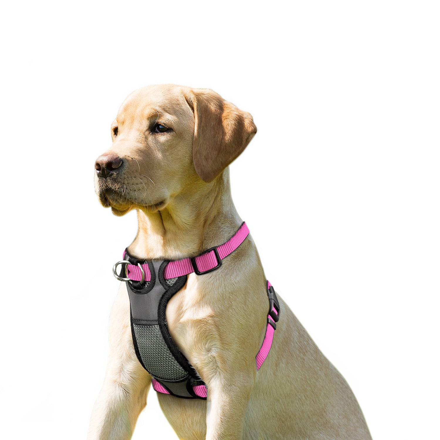 JESPET Dog Harness No Pull with Adjustable Straps for Training, Pink